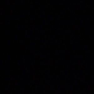 Meet your Posher, Layla